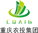 开云网页版